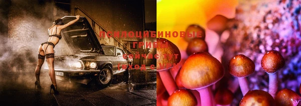 PSILOCYBIN Красноперекопск