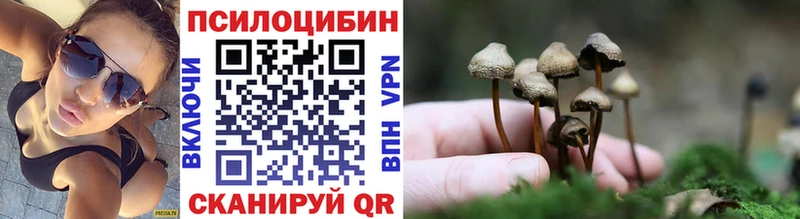 хочу наркоту  Сураж  Галлюциногенные грибы ЛСД 